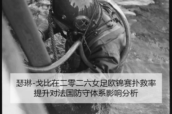se-lin-ge-bi-zai-er-ling-er-liu-nv-zu-ou-jin-sai-pu-jiu-lv-ti-sheng-dui-fa-guo-fang-shou-ti-xi-ying-xiang-fen-xi-1-455.jpg